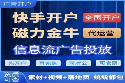 某某sem代运营公司：精准投放的背后策略